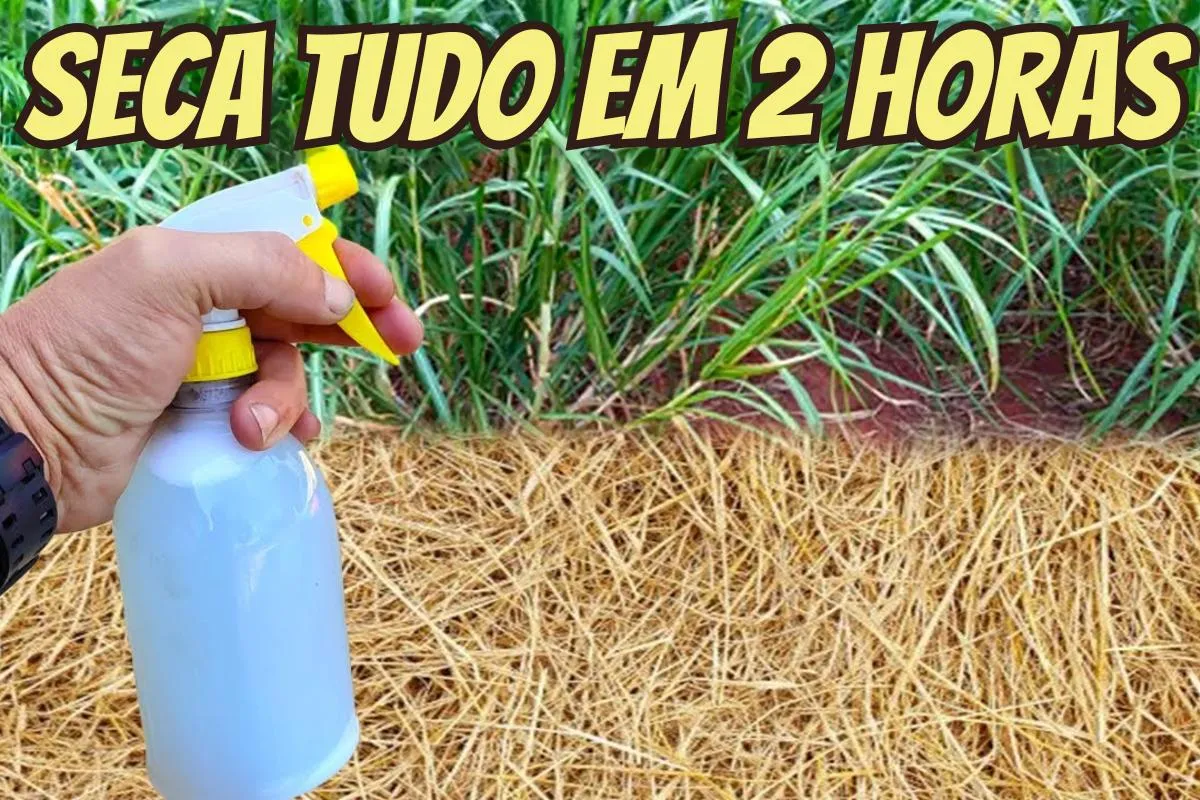 Como fazer mata mato caseiro: funciona de verdade sem precis