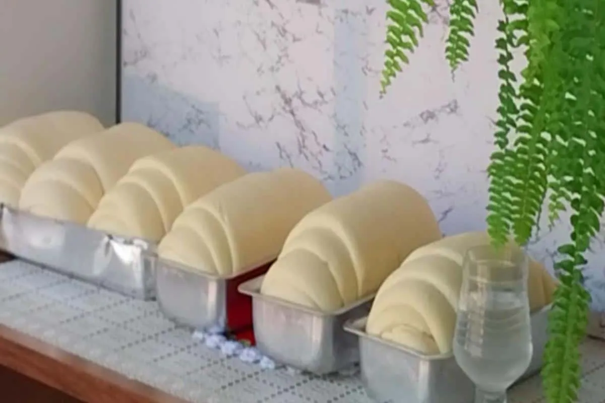 Como fazer pão caseiro perfeito e fofiinho que cresce bastan