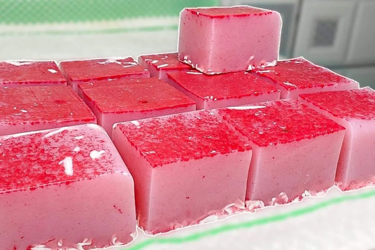 Como fazer sabão caseiro sem soda sem gastar muito ingredien