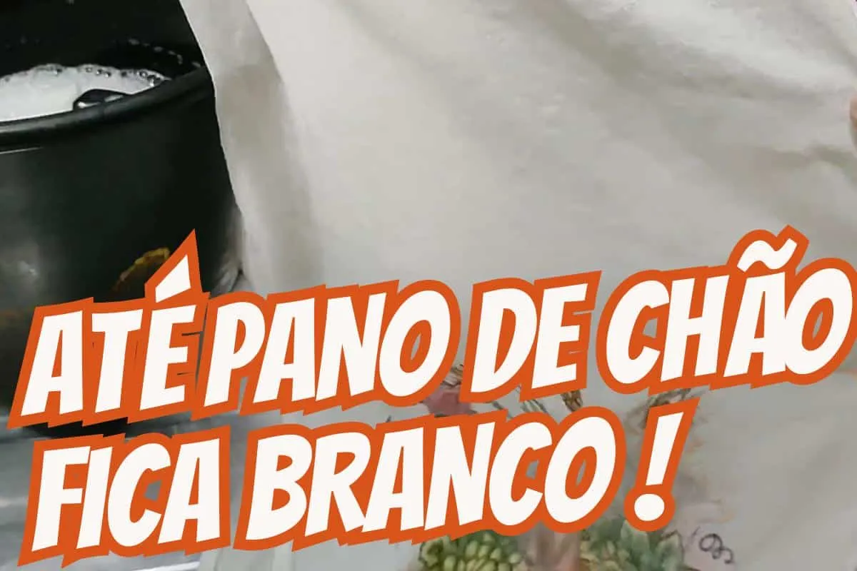 Como lavar pano de prato: tira todas as manchas de mofo rapi