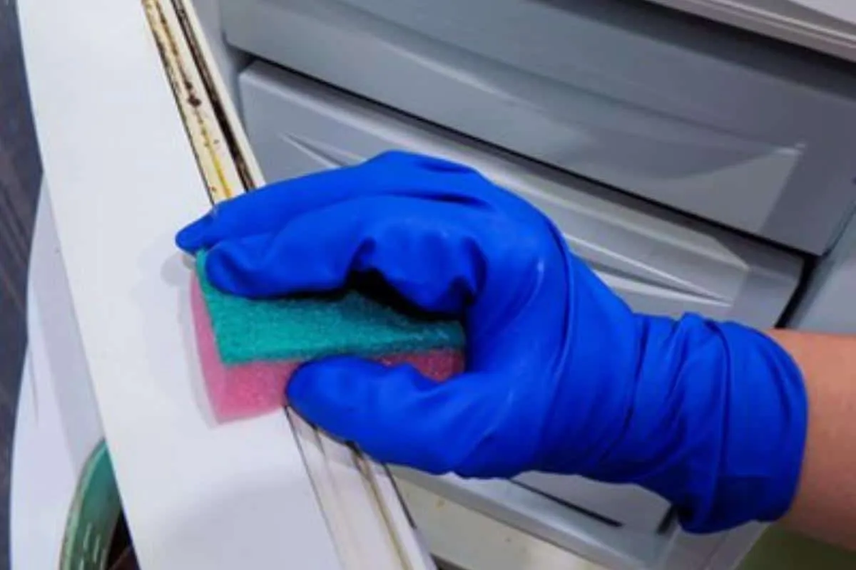 Como limpar borracha da geladeira de um jeito fácil e prátic