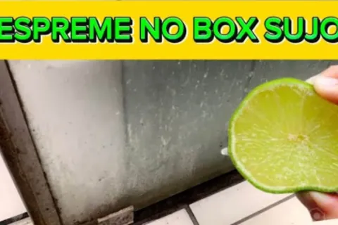 Como limpar box do banheiro com uma técnica que vai deixar s