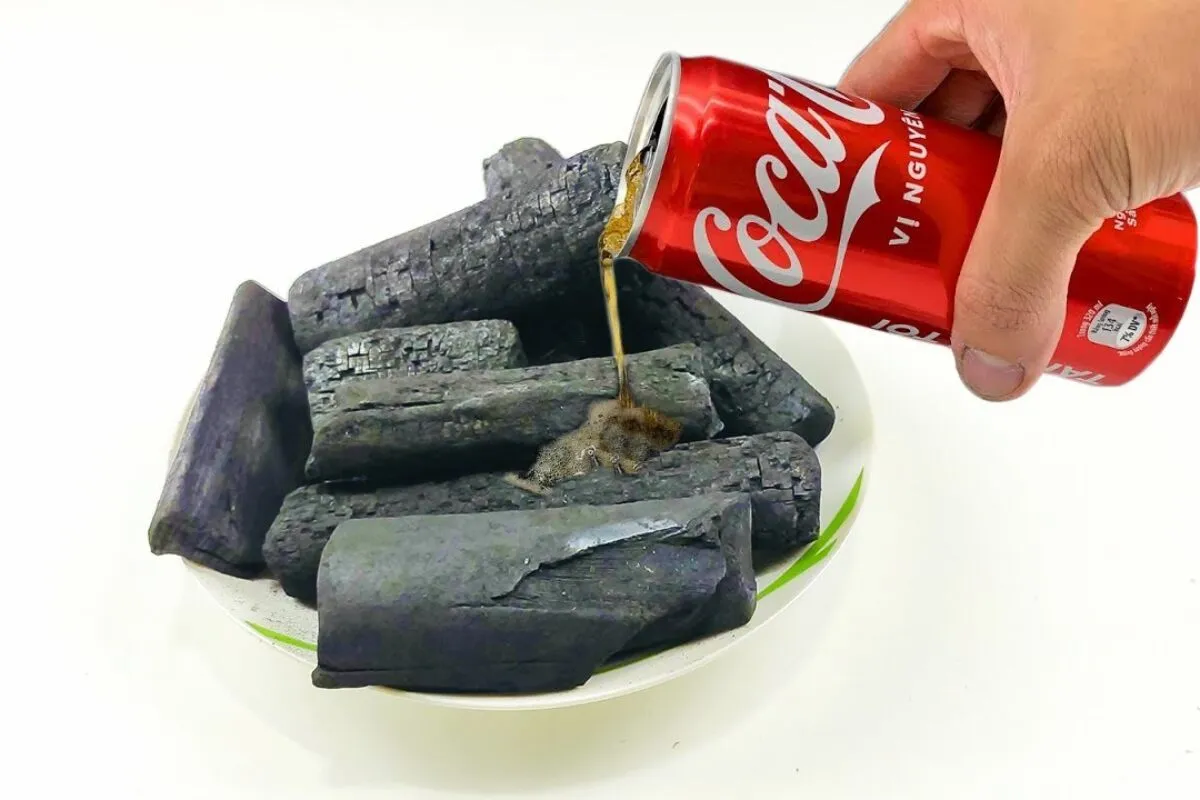 Como limpar panela queimada com coca-cola: dica imperdível s