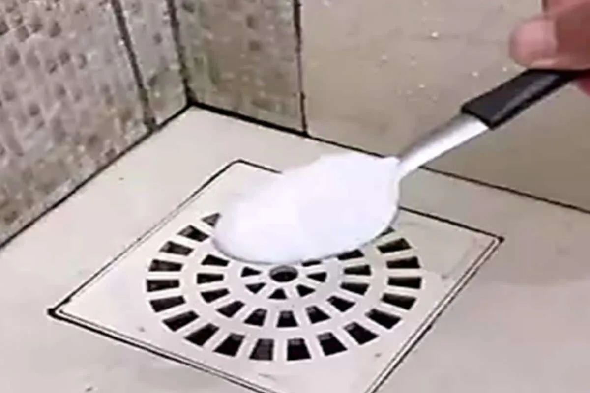 Como limpar ralo do banheiro e tirar todo mau cheiro com um