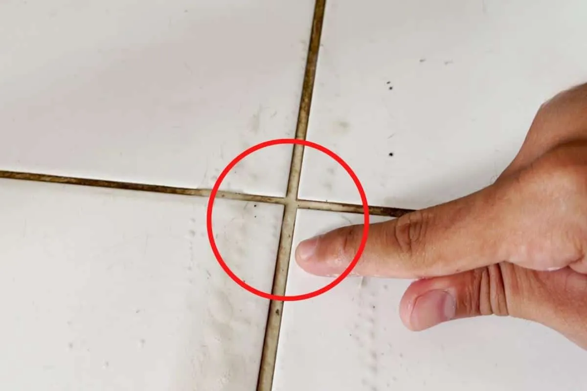 Como limpar rejunte encardido: solução para o piso da sua ca