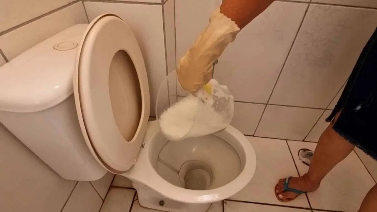 Como limpar vaso sanitário encardido: tira todas as manchas