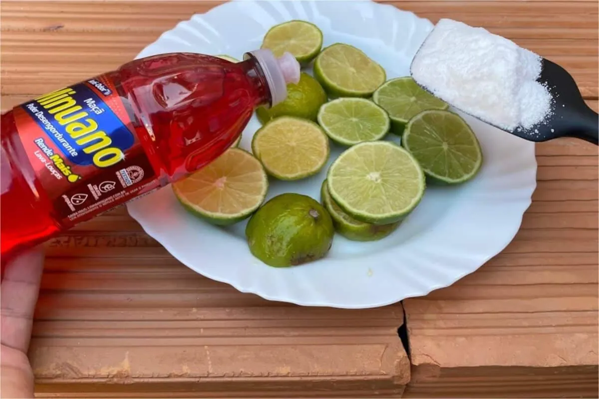 Como multiplicar detergente do jeito certo: rende muito e es