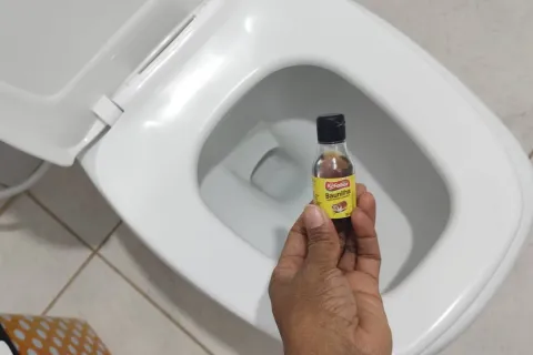 Como perfumar o banheiro: não precisa comprar produto caro n