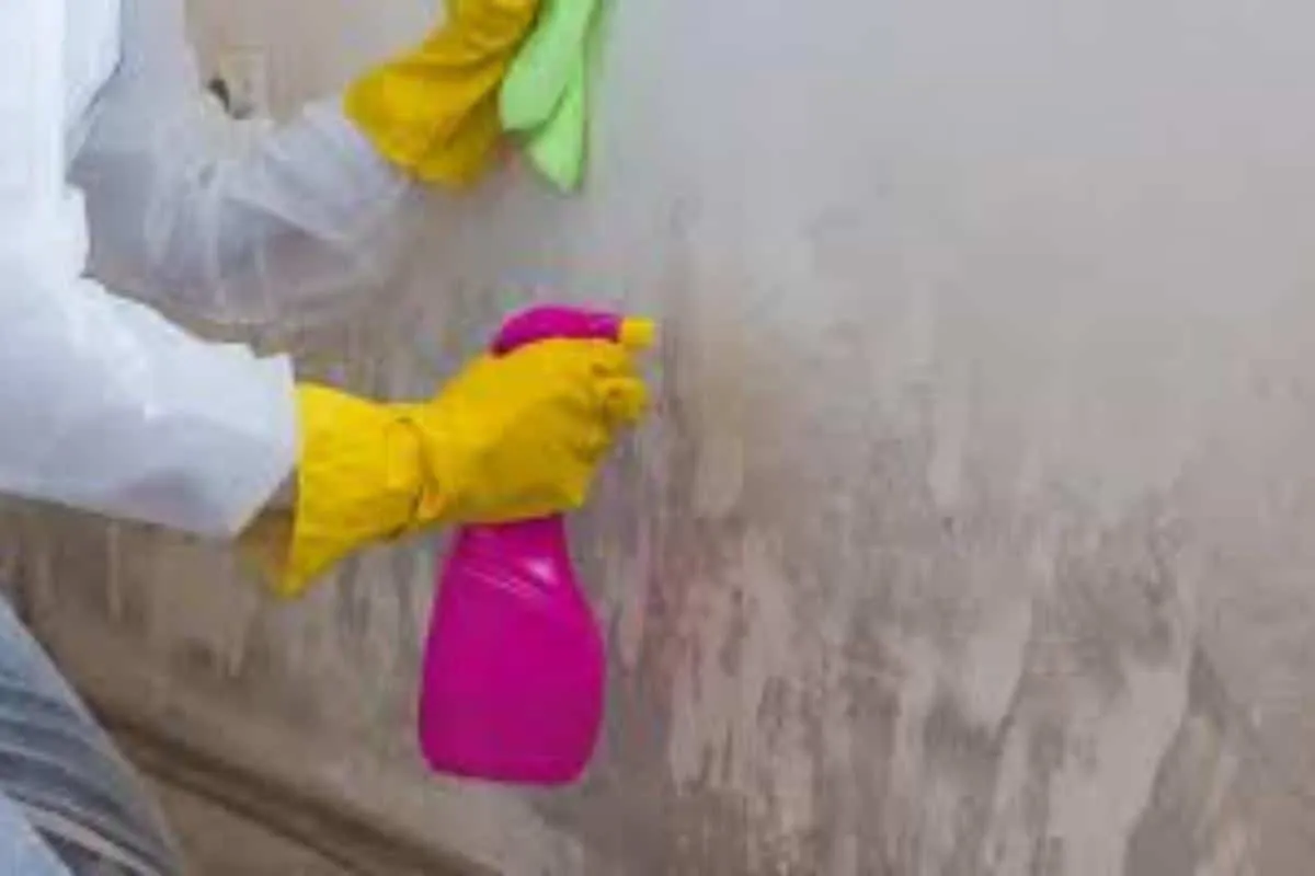 Como remover mofo da parede com uma misturinha caseira super