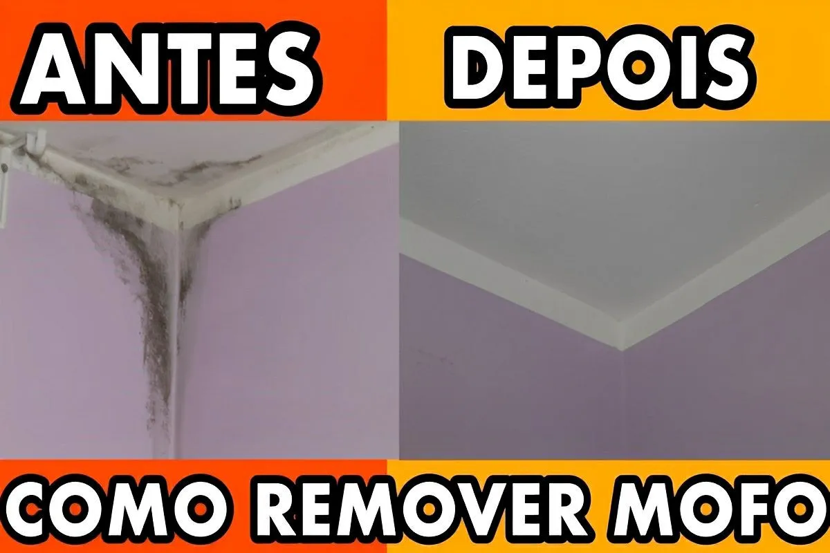 Como remover o mofo da parede e do teto usando apenas 1 ingr