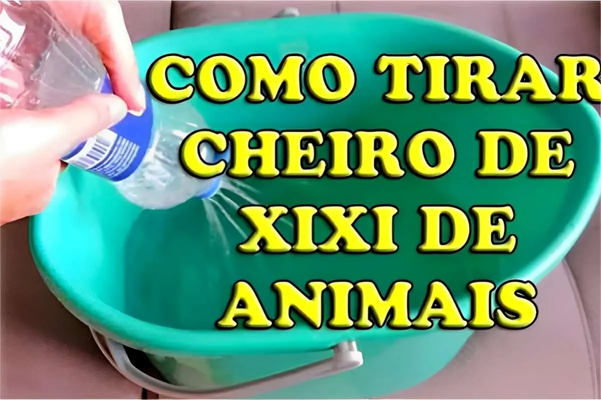 Como tirar cheiro de urina de animais da sua casa com essa m