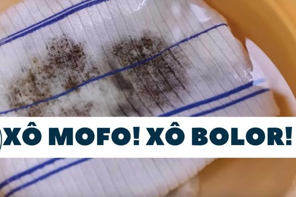 Como tirar mancha de mofo de panos e toalhas sem ficar fazen