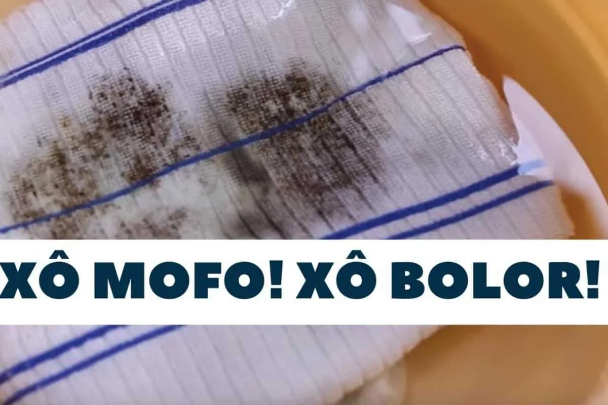 Como tirar mancha de mofo de toalhas e panos de prato: mistu