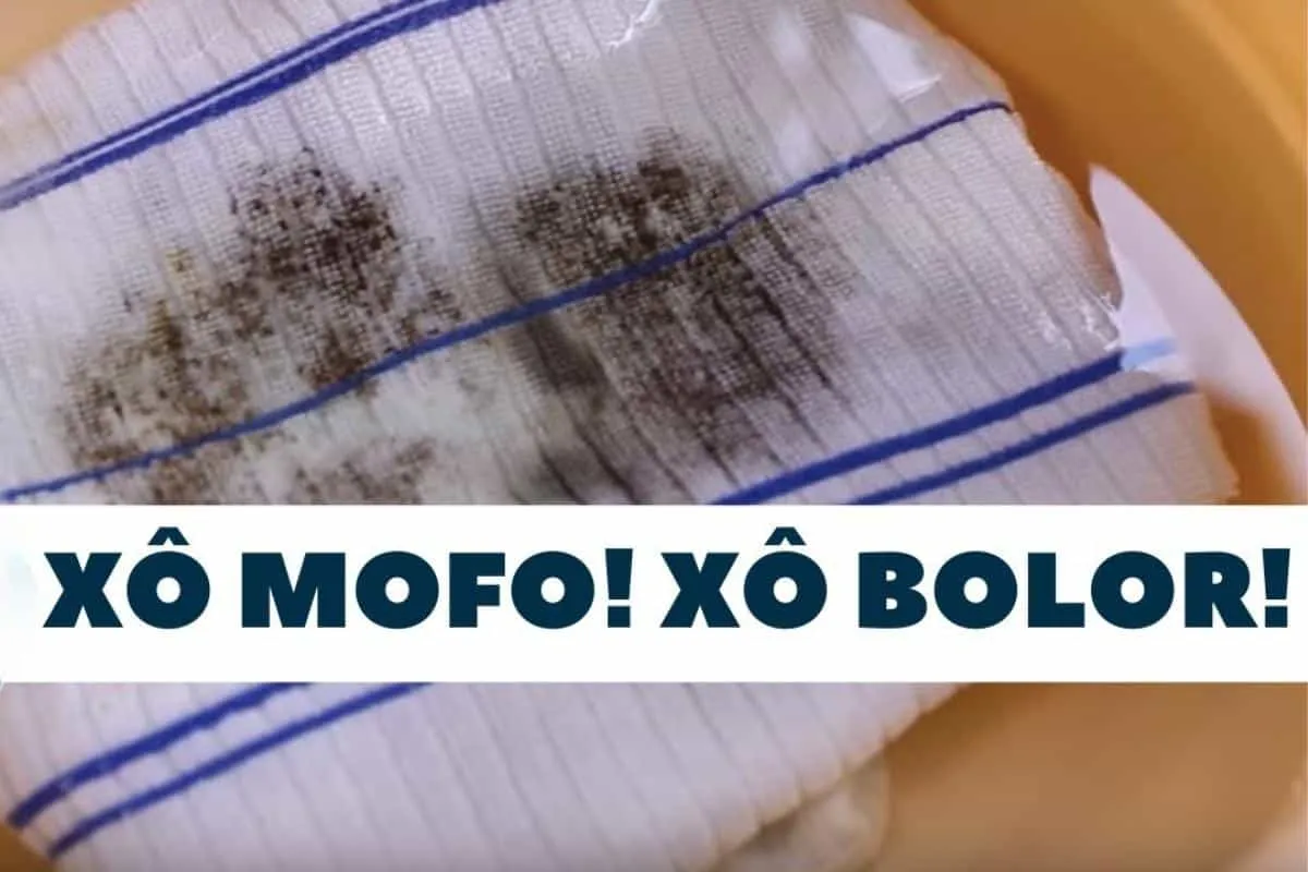 Como tirar mancha de mofo e bolor dos panos de prato sem fic
