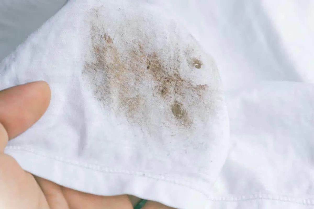 Como tirar manchas de mofo de panos de prato e roupas de um