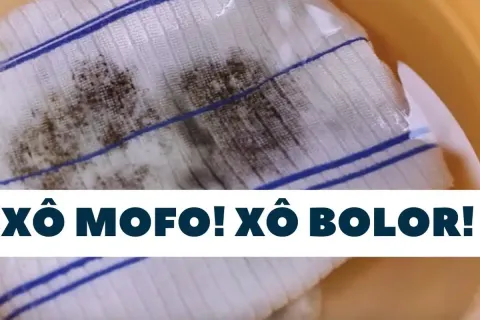 Como tirar manchas de mofo e bolor de toalhas e panos de pra