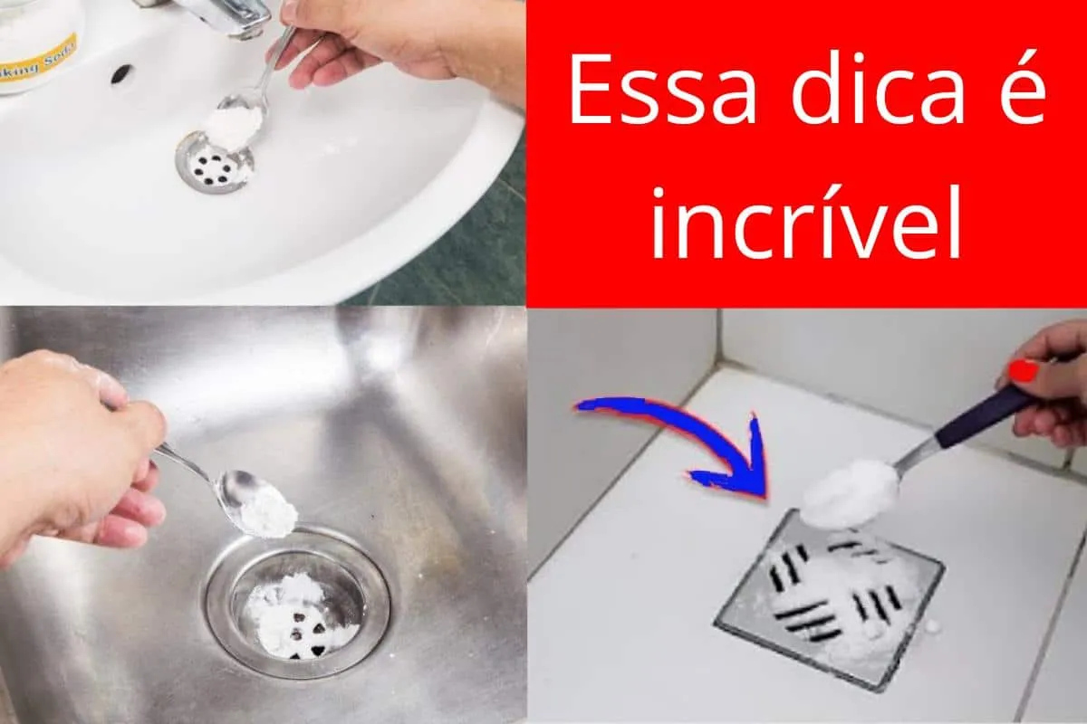 Como tirar mau cheiro dos ralos para deixar seu banheiro che