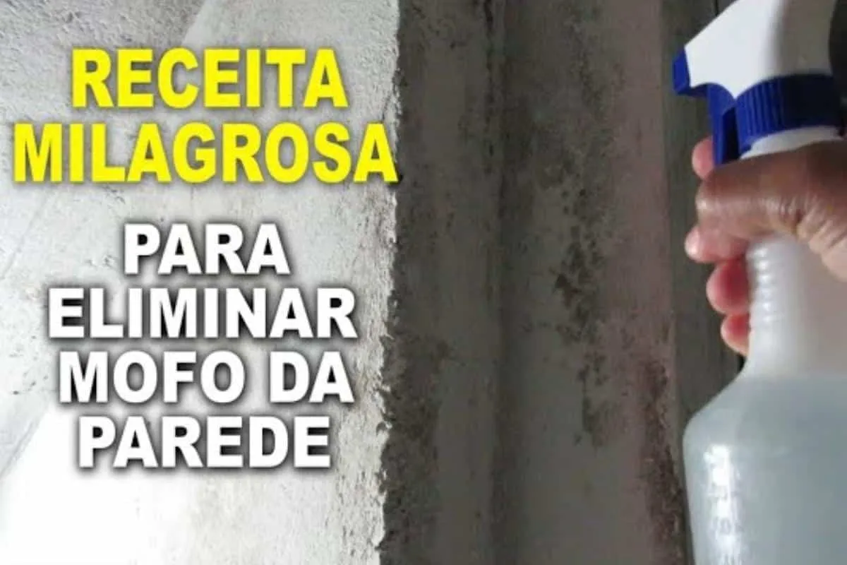 Como tirar mofo da parede com uma misturinha caseira que é s