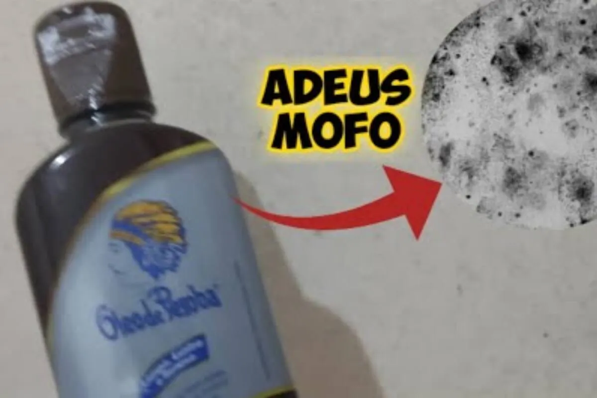 Como tirar mofo da parede: fica limpinha e sem mau cheiro