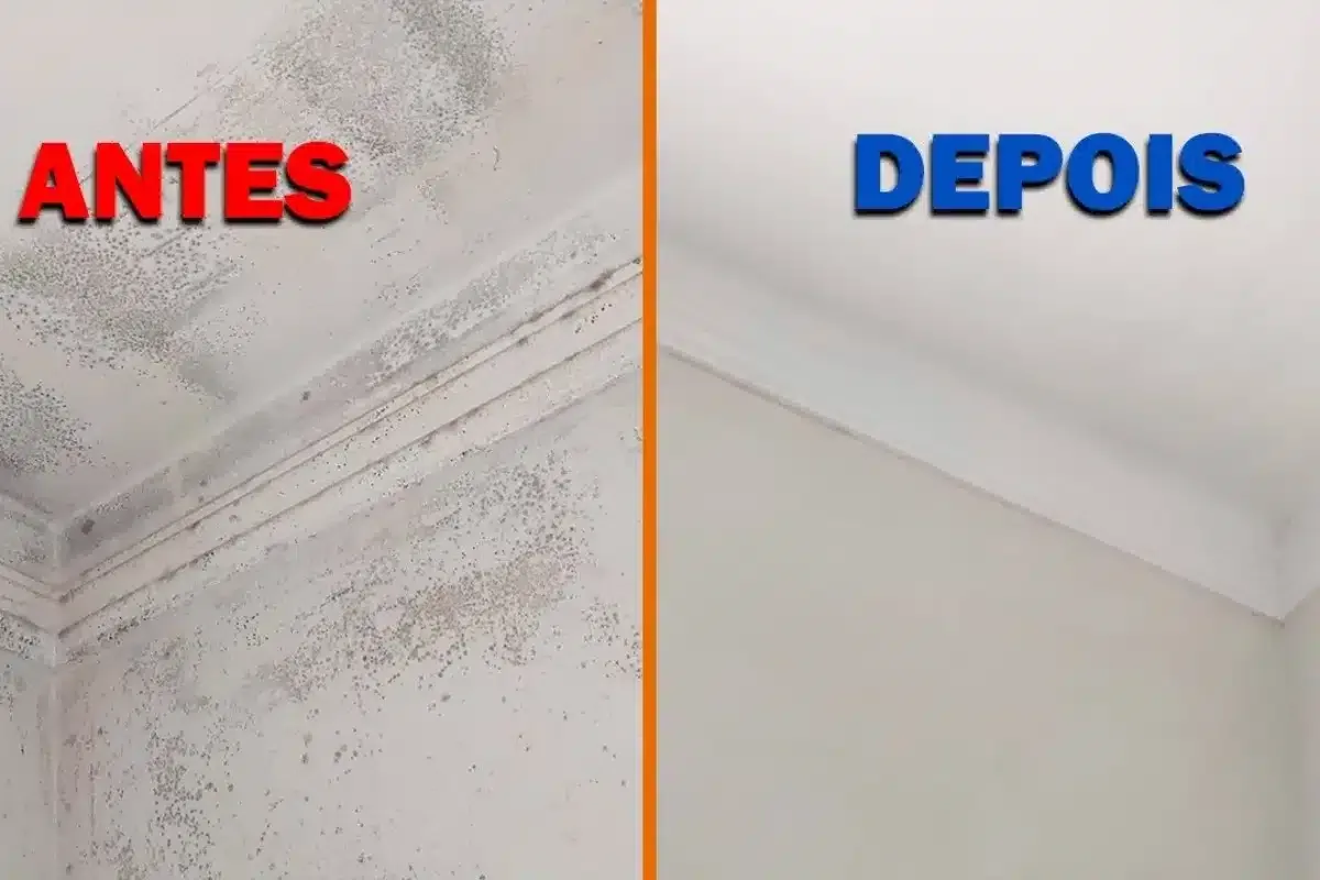 Como tirar mofo das paredes com misturinha caseira super fác