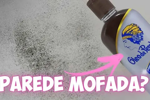 Como tirar mofo de parede com uma misturinha caseira de apen