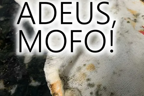 Como tirar mofo de tecidos num passe de mágica usando apenas