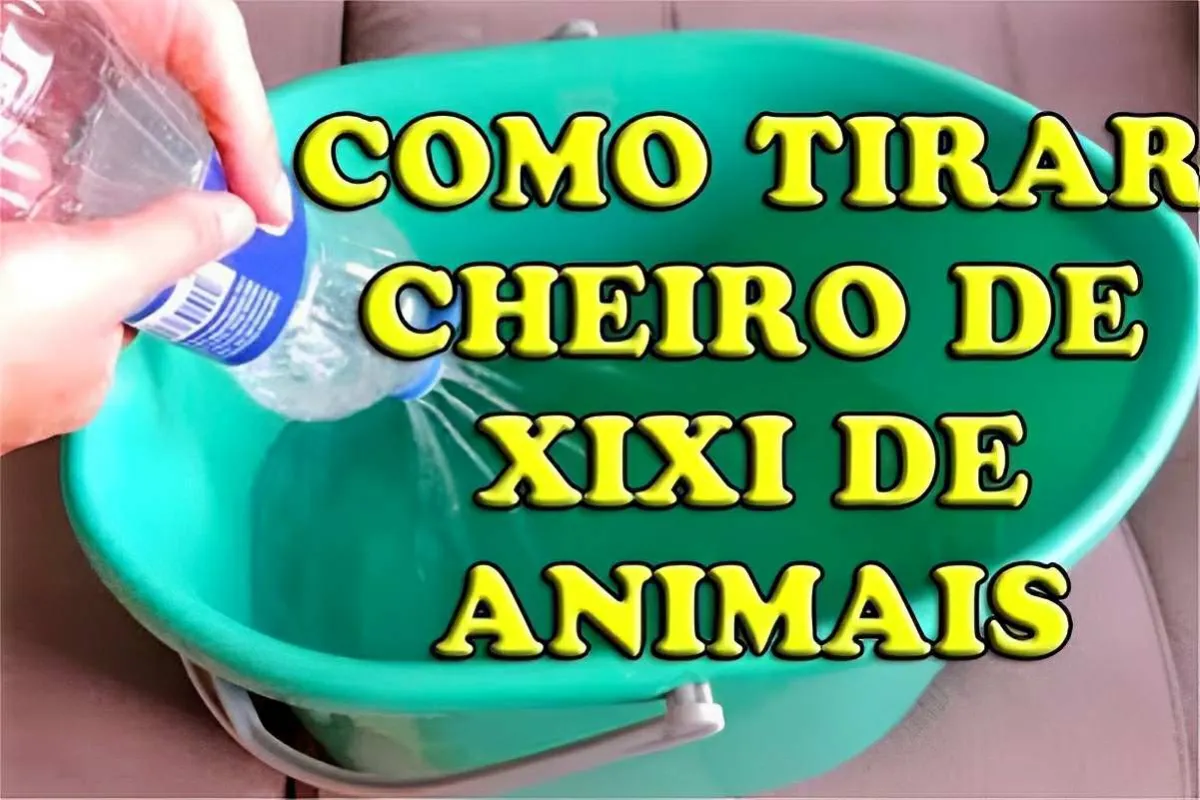 Como tirar o cheiro de urina de animais de dentro de casa us