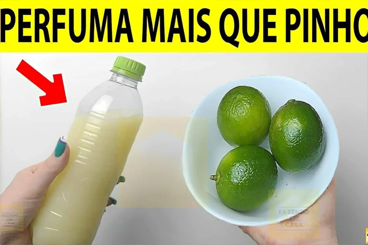 Desinfetante caseiro com limão perfeito para eliminar o odor