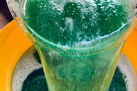 Detergente 2 em 1: pode usar como lavador de louças ou até m