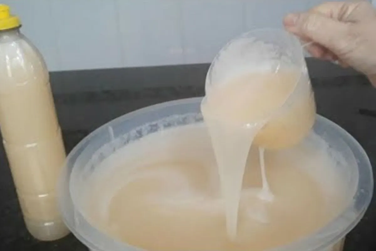 Detergente caseiro 2 em 1: limpa louça e dá brilho no alumín