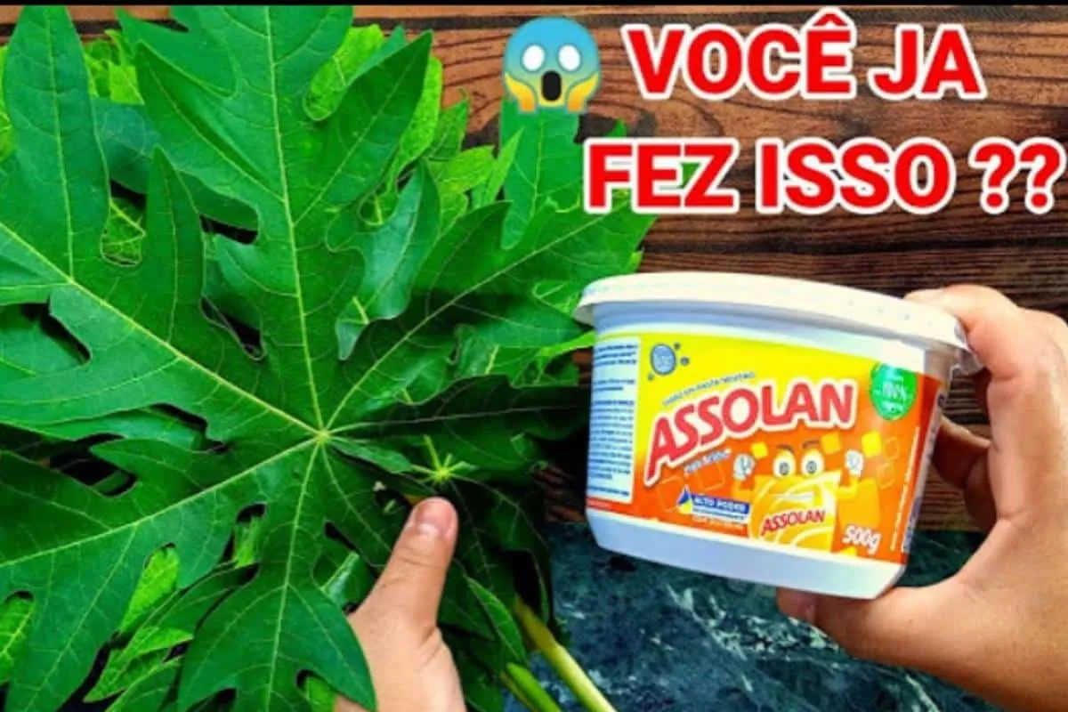 Dica caseira de economia: vai te fazer gastar bem menos dinh