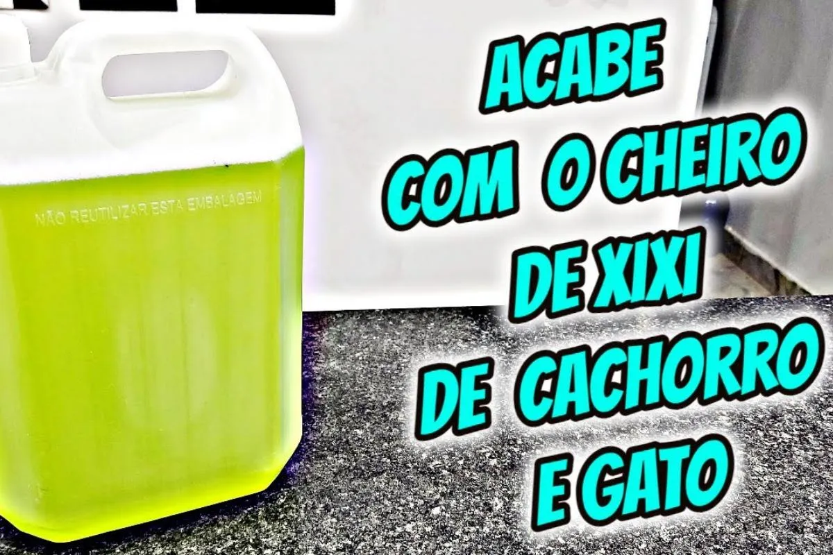 Dica caseira para acabar com o cheiro de xixi no seu pet no