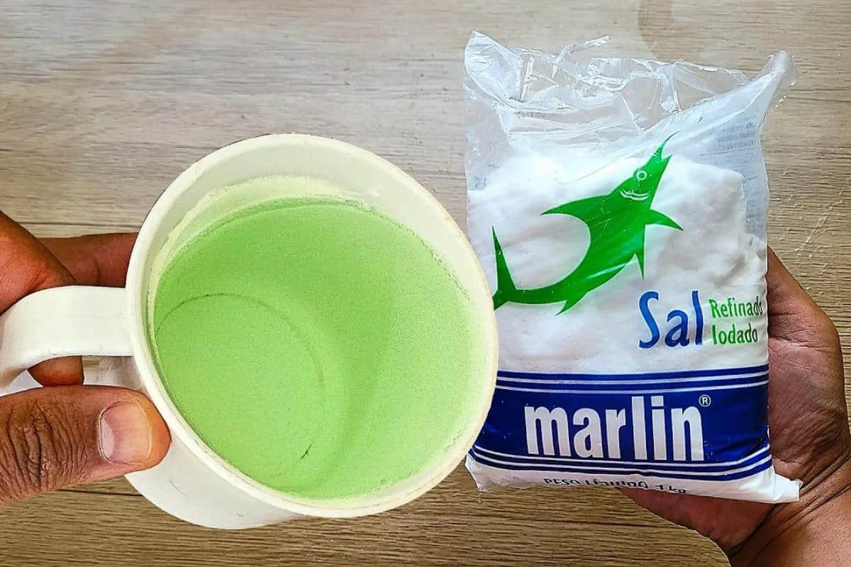 Dica para desencardir banheiro com uma misturinha caseira mu