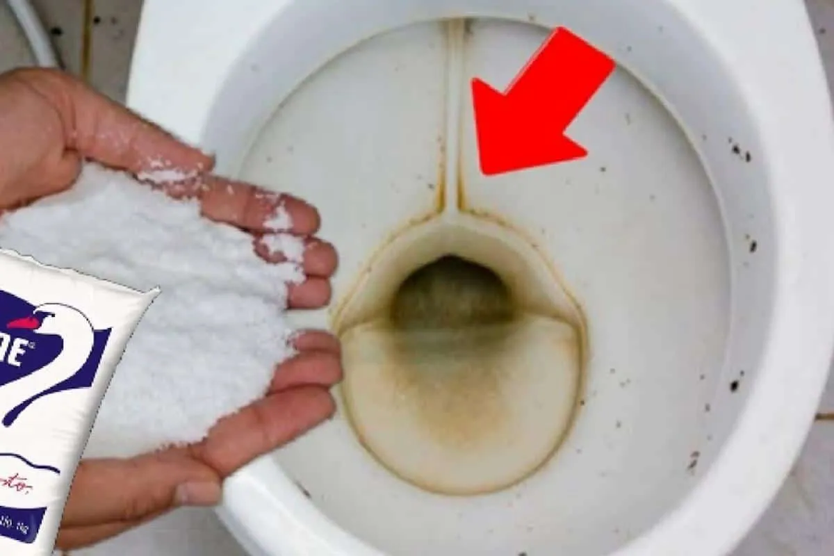 Dica para lavar banheiro com vaso sanitária encardido e manc