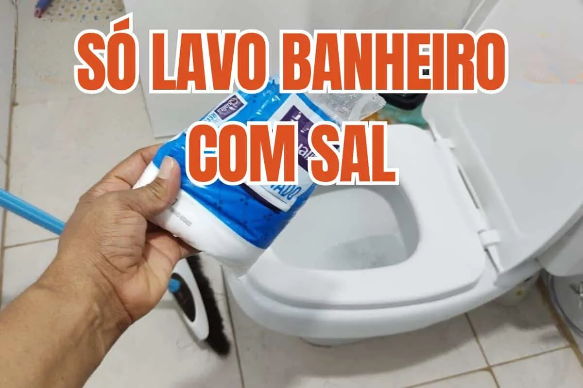 Dica para lavar banheiro: você vai economizar bastante no pr