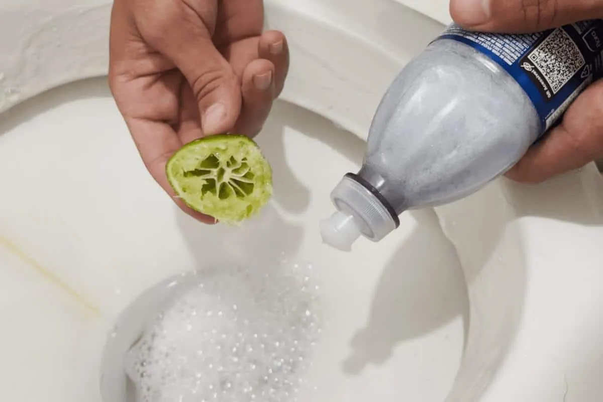 Dica para limpar banheiro: deixa cheiroso e tira todas as ma