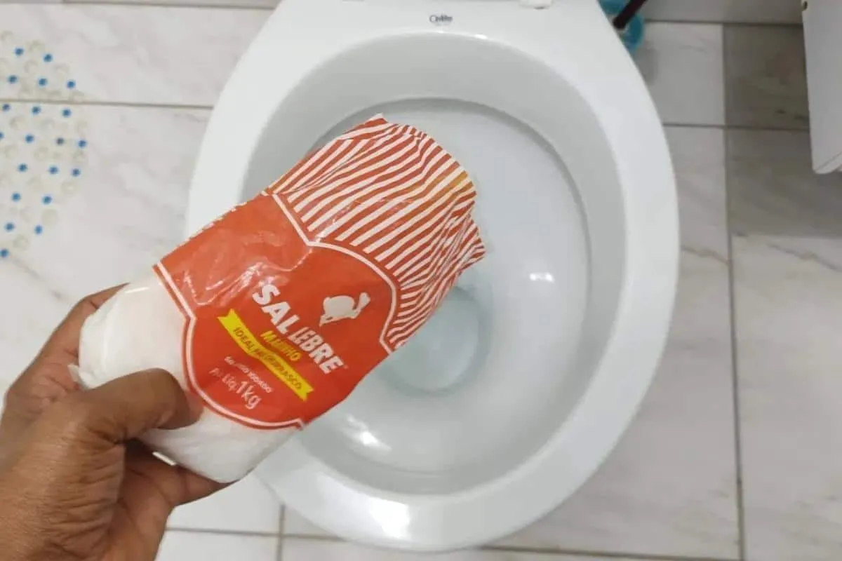Dica para limpar banheiro: depois que aprendi limpar assim f