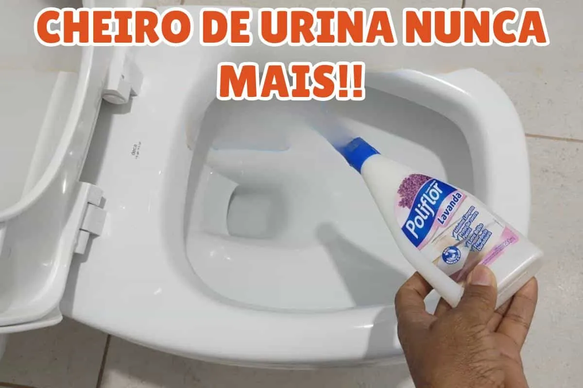Dica para limpar banheiro: segredo de hotel para ficar perfu