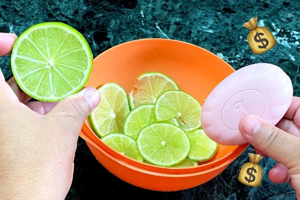 Dica para limpar banheiro sujo e deixar cheiroso 7 dias por