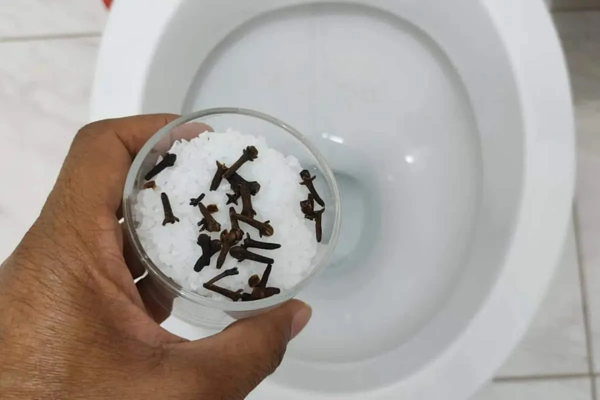 Dica para limpar e perfumar banheiro sem precisar gastar mui