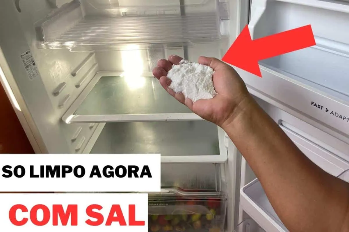 Dica para limpar geladeira: não fica mau cheiro e é mais fác
