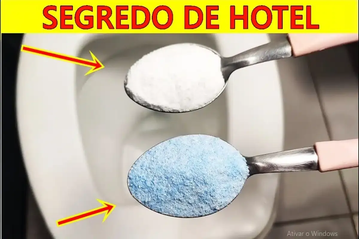 Dica para limpar vaso sanitário remove todas as manchas e de