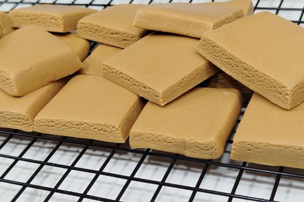 Doce de leite feito com 2 ingredientes e sem ir ao fogo, cre