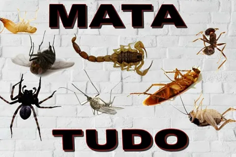 Esse é o melhor inseticida caseiro que existe fácil eficaz e