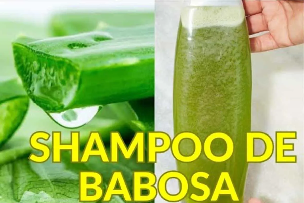 Esse shampoo de babosa caseiro tá fazendo o maior sucesso na