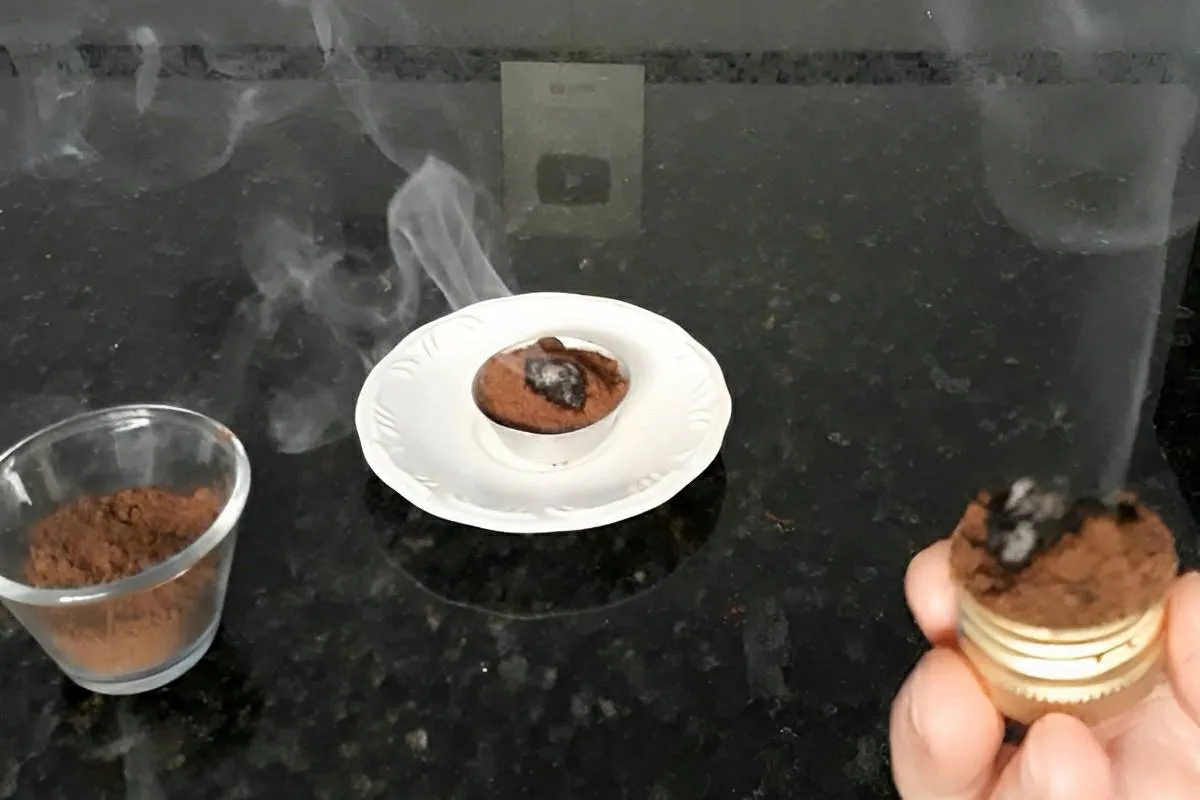 Fumacinha poderosa um repelente natural caseiro para espanta