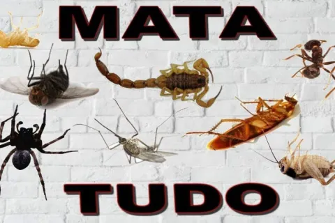 Inseticida caseiro: o melhor inseticida simples de fazer e f