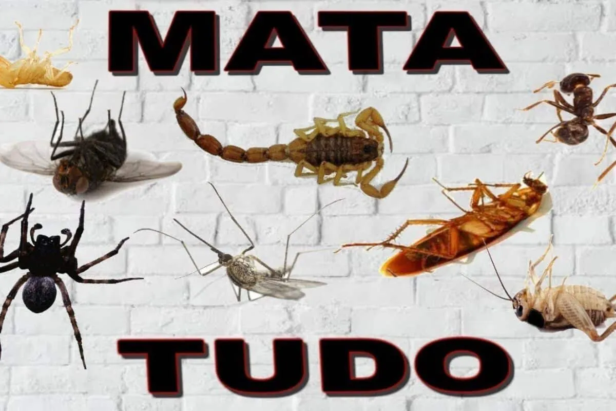 Inseticida caseiro que acaba com as pragas da sua casa em po