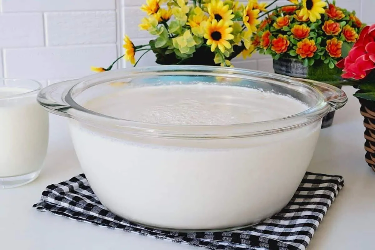 Iogurte caseiro com apenas 2 ingredientes bem consistente e