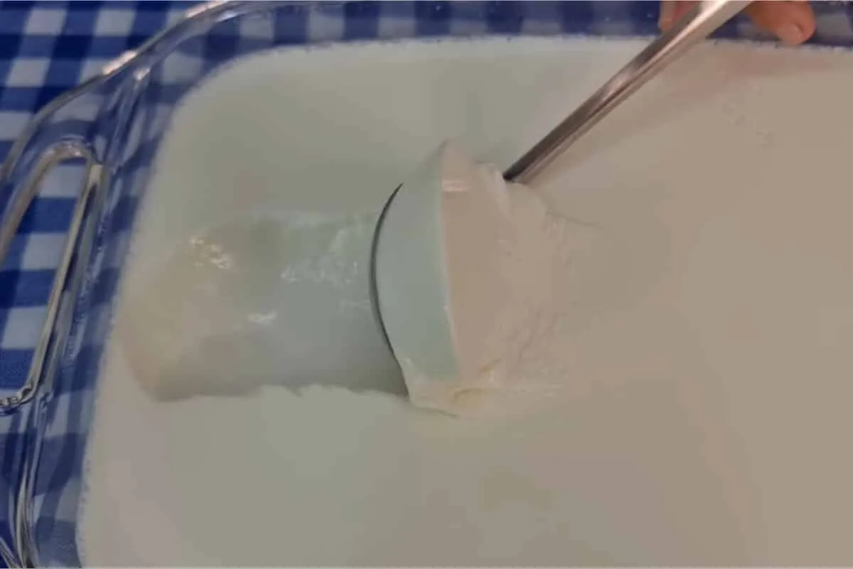 Iogurte grego caseiro: econômico, cremoso e muito fácil, igu